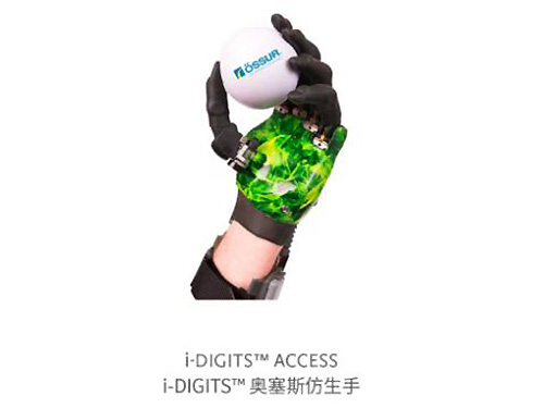 上肢 上肢